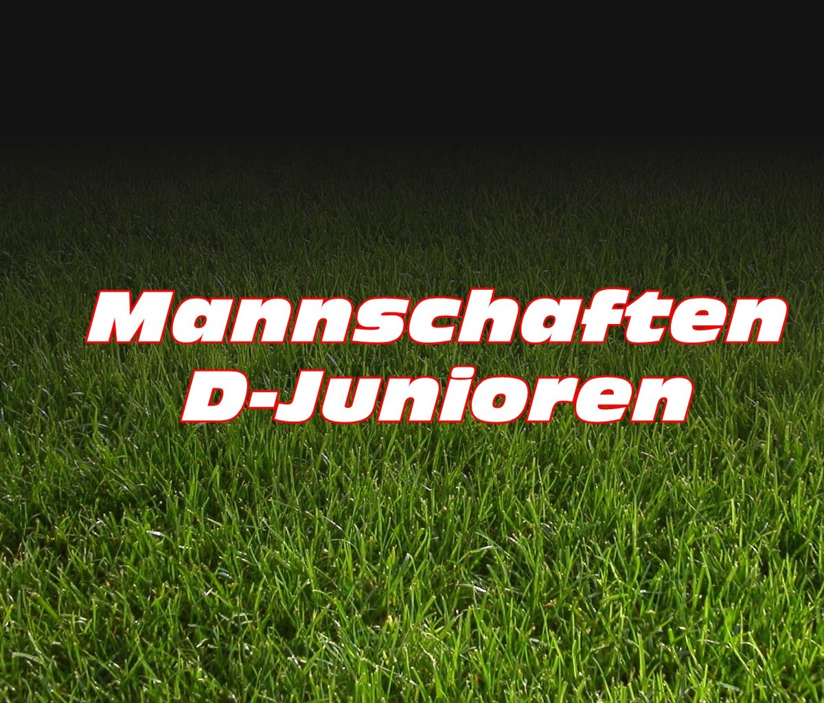 2015 D-Junioren U13 2015 D-Junioren U13