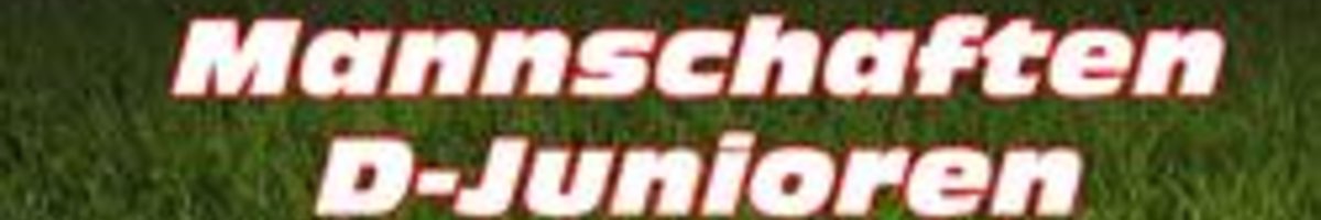 2016 D-Junioren U13 2016 D-Junioren U13